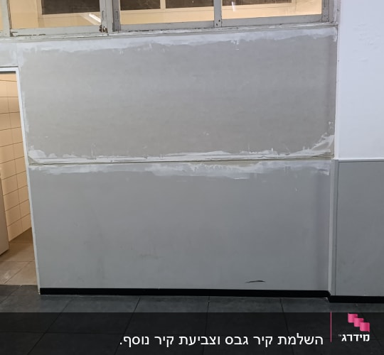 שיפוצניקים
